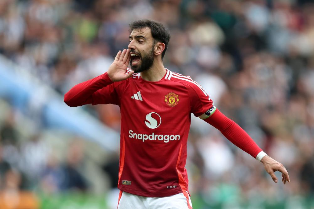 务活动不仅 务活动不仅